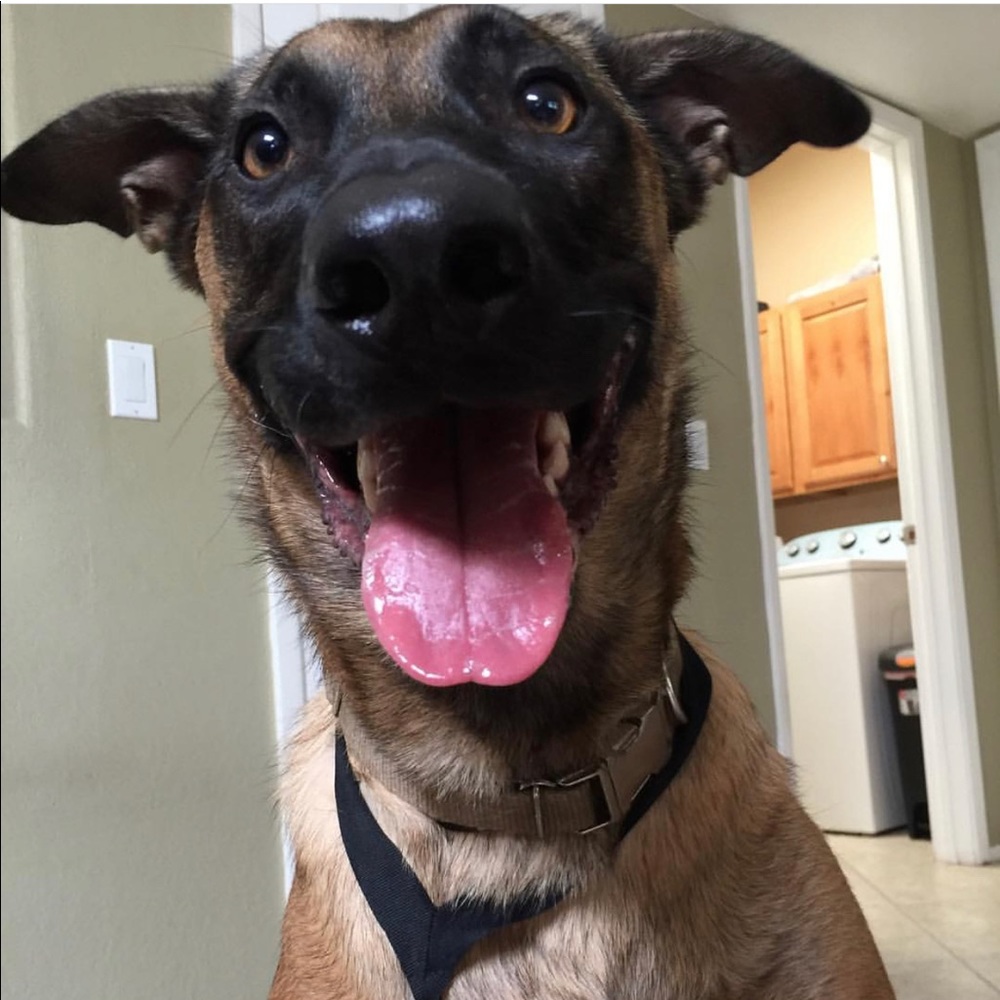 Meet your Posher, Rena